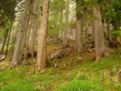 2013-06-22_Hirschhoerndl_Jochberg (057).JPG